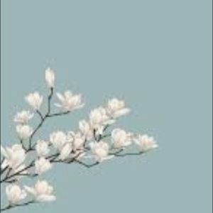 Meet your Posher, Kenzee